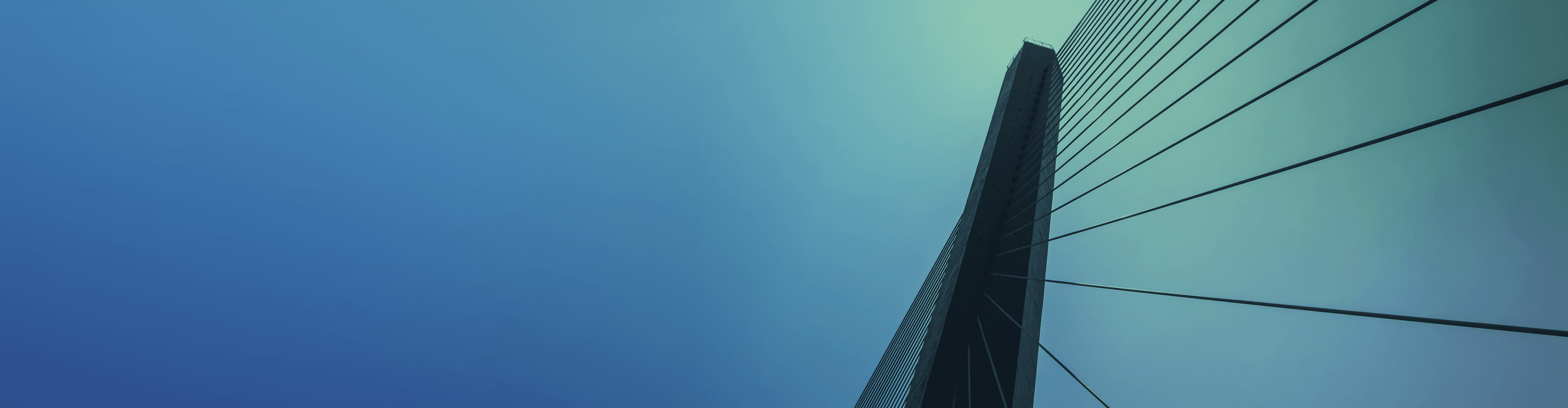 تم التأسيس في عام 2021